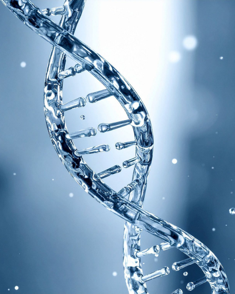 Popular Peptides
